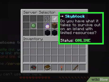 Image result for How to Play Skyblock On Java Beginners