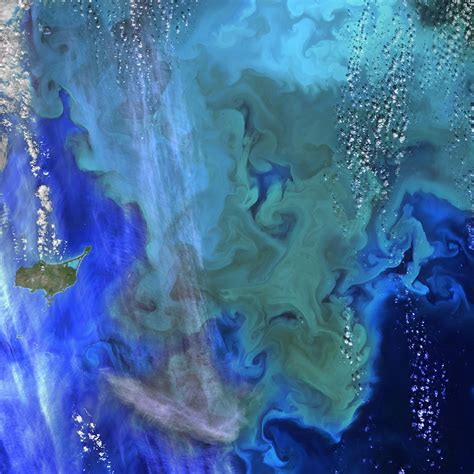 Download wallpaper 2780x2780 plankton, ocean, blue, aerial view ipad ...