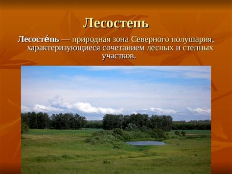 6 класс. Презентация "Природные зоны"