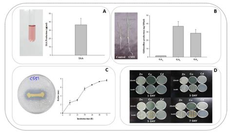 Complete Genome Sequence of Pseudomonas psychrotolerans CS51, a Plant ...