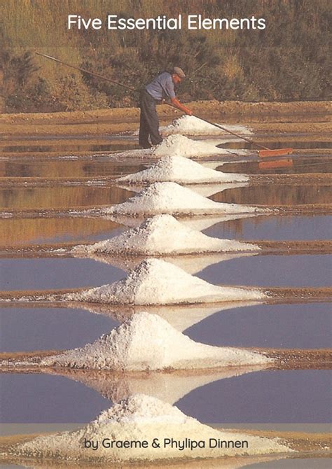 Image result for Essential Elements