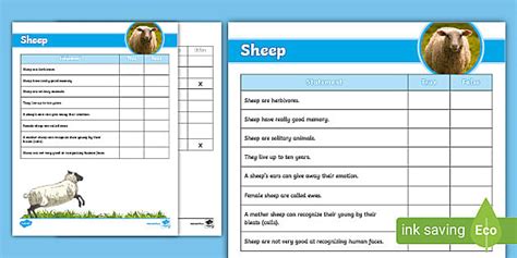 Sheep True or False Activity - Grades 4-6 - Twinkl Canada