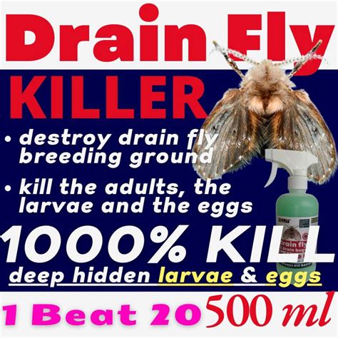 KILLit Drain Fly Killer (1000% Eliminate Infestation, Not Just Killing ...