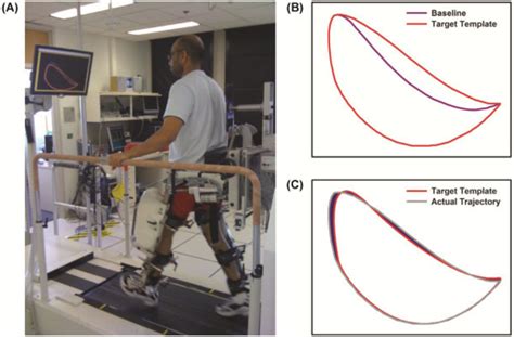 Robotic Training Cycle 的图像结果