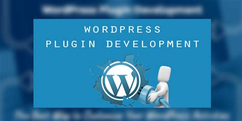 Image result for Custom Plugin Development