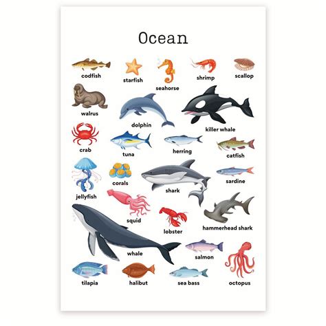 Sea Animals List Of 30 Popular Sea Animals With Esl Pictures Types Of