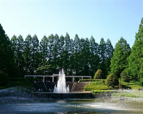 30 BEST Places to Visit in Sagamihara - UPDATED 2022 (with Photos ...