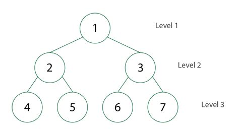 Image result for Width of Binary Tree Code