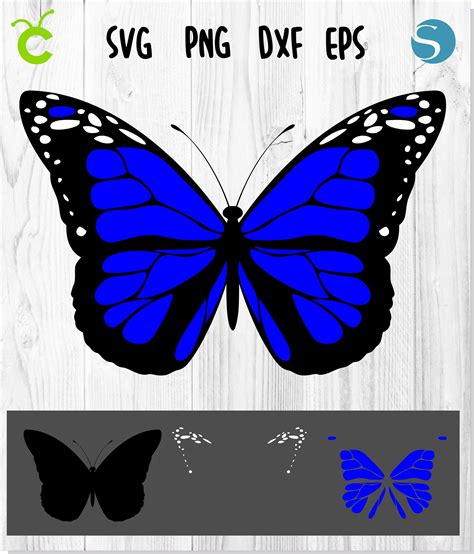 free layered butterfly svg