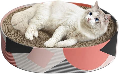 Buy MSBC Cat Scratcher Cardboard, Oval Corrugated Scratch Pad, Cat ...
