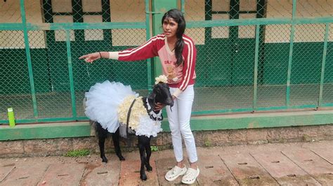 Mumbai: Pet Parents Gather At Churches To Bless Their Companions On ...