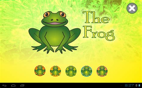 Frog for kids and adults free, insects, animals - App on Amazon Appstore