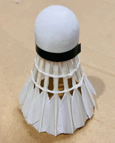 ShuttleCock 的图像结果
