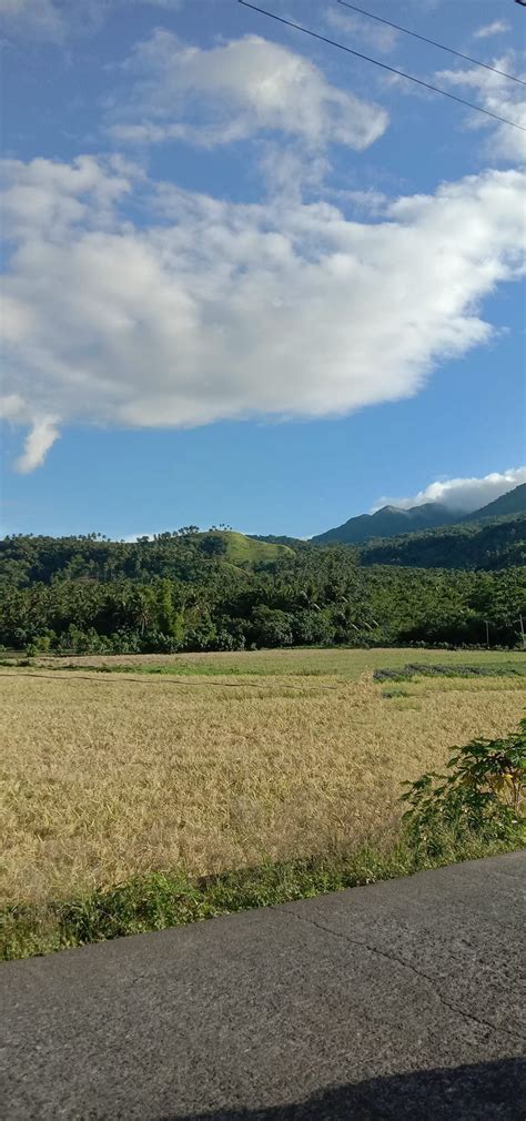 Planters Get Together , Purok 6 Brgy.Herrera Ligao City Albay, Legaspi ...