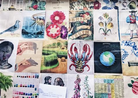 Image result for Spring Break Amsterdam