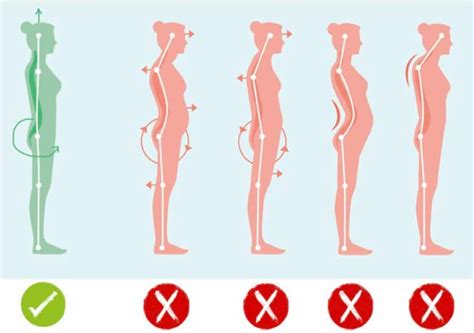 Different Types of Posture 的图像结果
