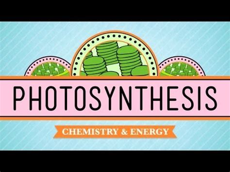 Image result for Basic Photosynthesis