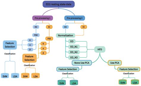 Generalisation of EEG-Based Pain Biomarker Classification for ...