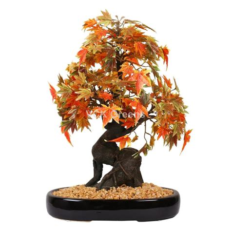 Artificial Japanese Maple Bonsai Plant 1.4ft – VCK Greens