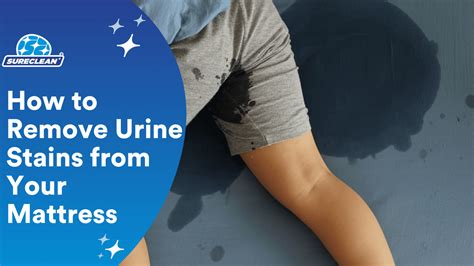 How To Remove Urine Stains From Your Mattress | Sureclean