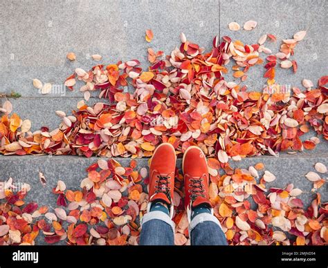Top view on feet in red leather shoes. Woman is standing on stone ...