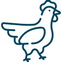 Backyard Chicken Program | St. Lucie County, FL