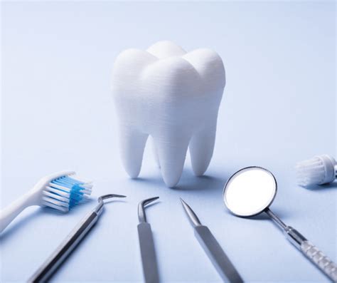 Wisdom Teeth Function 的图像结果