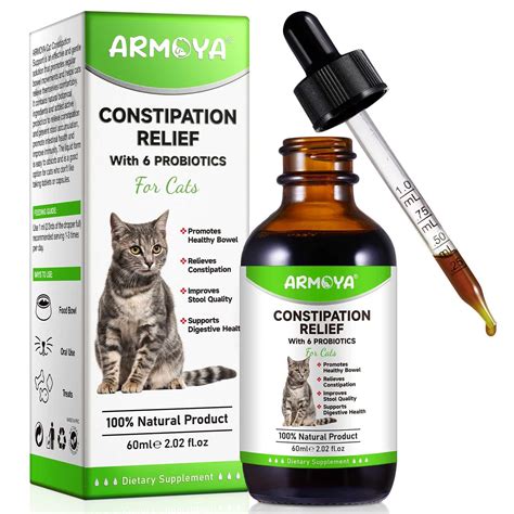 Can antibiotics cause constipation in cats - Johnny Kitten