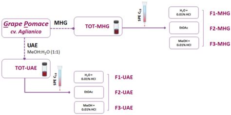 A Comparative Study between Microwave Hydrodiffusion and Gravity (MHG ...