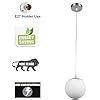 Buy Somil Pendant Ceiling Light Hanging Lamp with White Glass Shade of ...