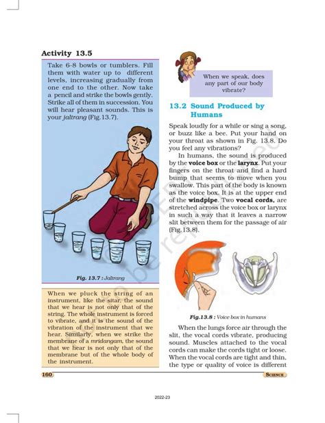 Image result for Science NCERT Class 8 Chapter 13