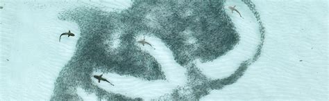 Nature travel, wildlife photography and conservation stories from India ...