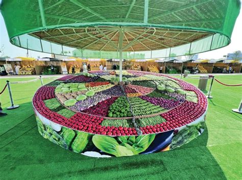 Local Produce FY6 的图像结果