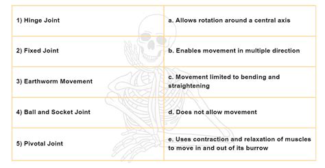 Body Movements Class 6 Worksheet Science