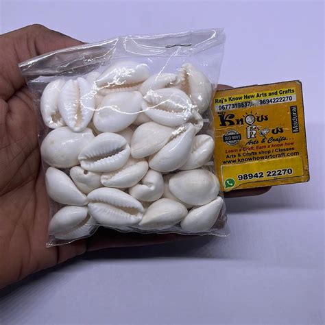 White chovi Sea shell-50g pack – KnowHowArtCraft