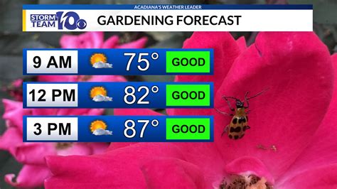 Lafayette & Acadiana 7-Day Forecast, Entire Week of Weather | KLFY.com