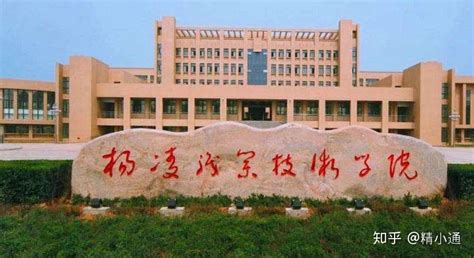 2023陕西十大专科院校排名：盘点陕西省最好的十所专科大学！