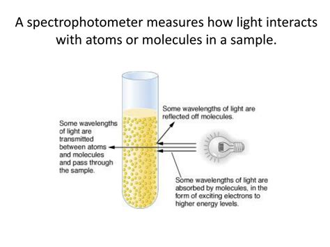 Spectrophotometer Experiment Examples 的图像结果