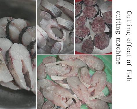 Image result for Fish Exercise Machine