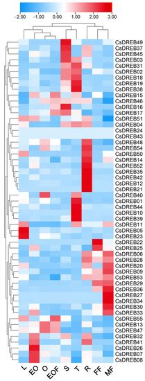 Pan-Genome-Wide Identification and Transcriptome-Wide Analysis of DREB ...