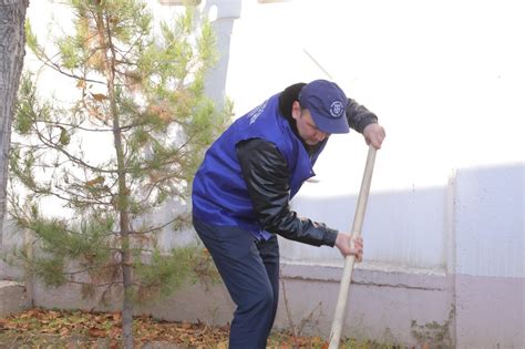 3-SONLI TALABALAR TURAR JOYIDA "YASHIL MAKON" LOYIHASI O‘TKAZILDI ...