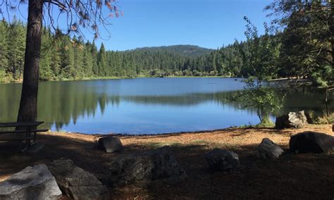 For 2025 Members – White Pines Park Committee