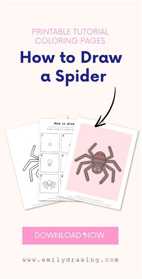 Image result for Spider Tutorial