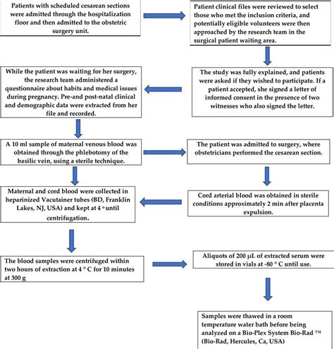 Image result for Sample Data Processing