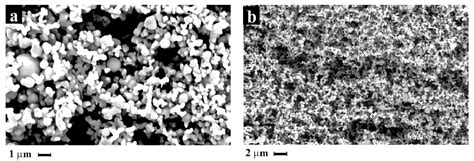 Supercritical Antisolvent Technique for the Production of Breathable ...