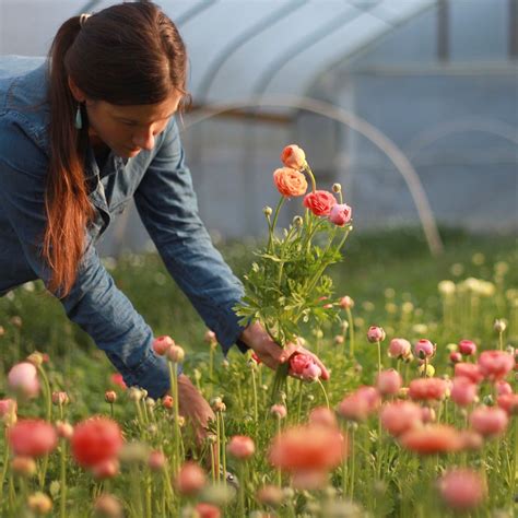 Our Story - 3 Porch Farm