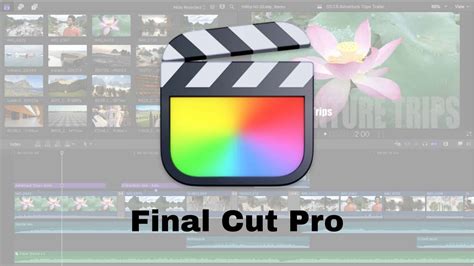 Image result for Final Cut Pro