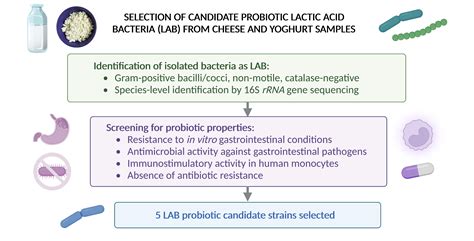 Antibacterial and Immunostimulatory Activity of Potential Probiotic ...