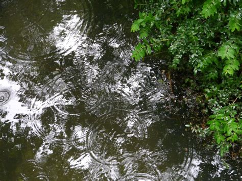 Crystal Raindrops Fall 的图像结果