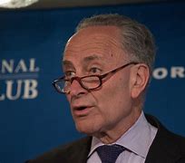 Image result for Schumer
